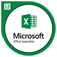 Excel 365 Associate